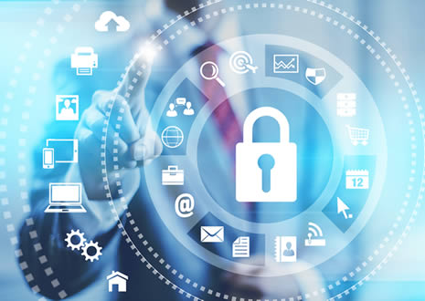 Establish Traceability And Transparency